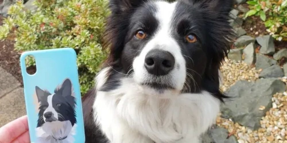 The importance of having to turn photographs of your pet into a dog portraits on canvas