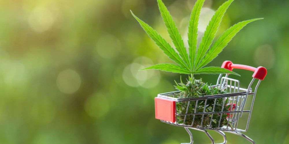 How do I choose between different weed delivery services?